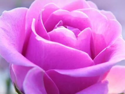 Deep Nourishment daily practice