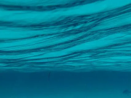 Deep Ocean Gong Bath for Releasing Stress