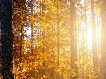 Deep Om Meditation Mantra, Vibrational Spiritual Connection