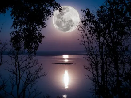 Deep Peace Into Sleep with Jamie Wozny