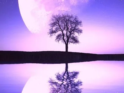 Deep Peace Sleep (432 Hz) 8 Hs