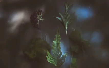 Deep Peaceful Relaxation For Calm Night