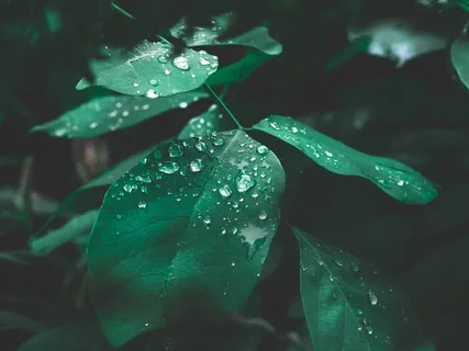 Deep Practice For Self Compassion