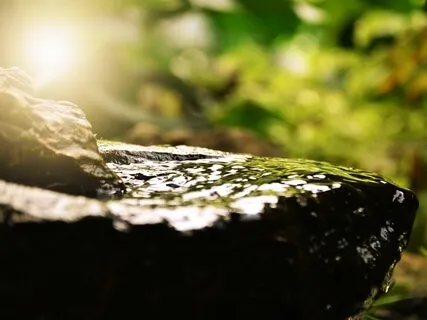 Deep Progressive Muscle Relaxation