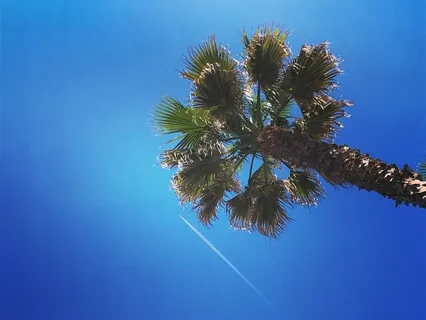 Deep Relaxation Guided Meditation