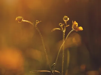 Enter A Space Of Deep Relaxation 