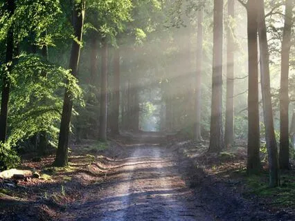 Deep Relaxation And Energy Release