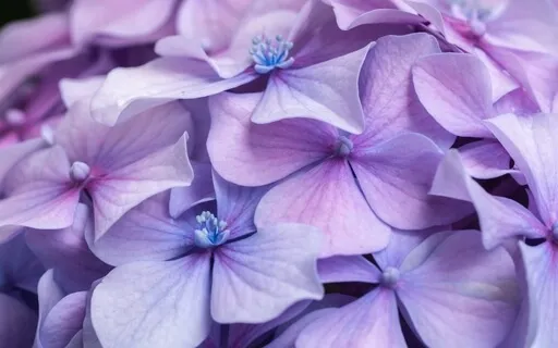 Deep Relaxation And Rest