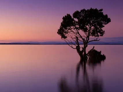 Deep Relaxation And Stillness Within