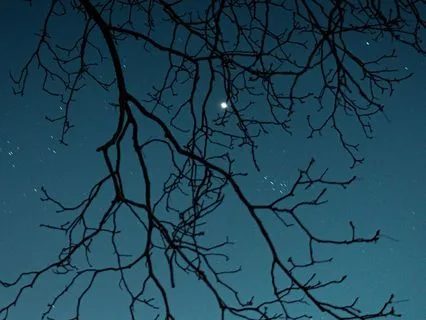 Deep Relaxation Body Scan For Sleep (No Music)