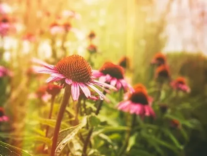 Deep Relaxation Delta Waves (A Guided Binaural Beat Journey)