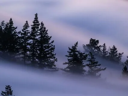 Deep Relaxation | Fall Asleep Quickly | Soothe Your Mind