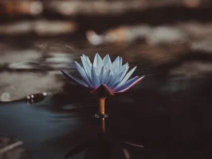 Deep Relaxation For Sleep - Garden Of Eden Meditation