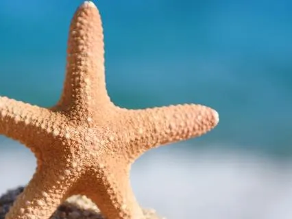 Deep Relaxation For Sleep Via The Star Breath