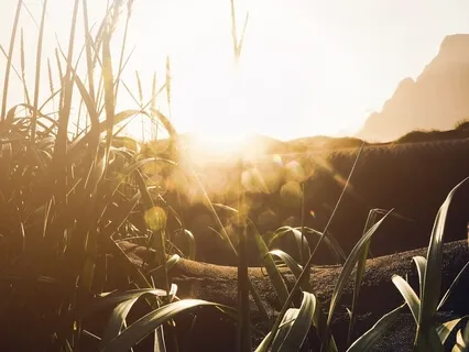 Deep Relaxation Guided Audio For Body & Mental Stress