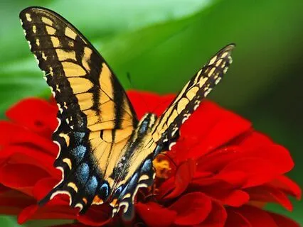 Deep Relaxation: Let Go And Recharge | 10 Hz