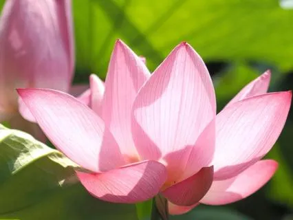 Deep Relaxation Meditation