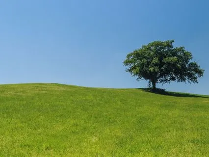 Deep Relaxation: Quiet Ambient Soundscape for Mindfulness