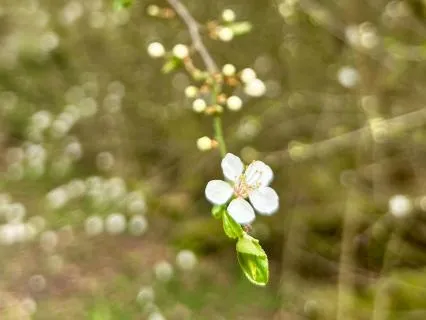 Deep Relaxation & Self-Compassion