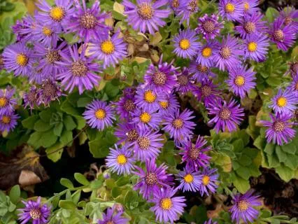 Deep Relaxation Shifting Journey (Egyptian Method Inspired)