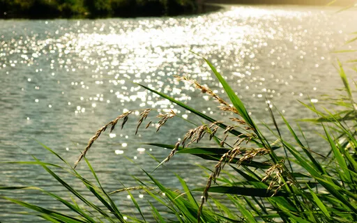 Deep Relaxation Short 3 Minute Integration For Stress