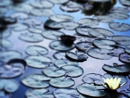 Deep Relaxation - The Night River