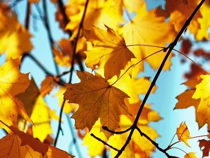 Deep Relaxation To Let Go