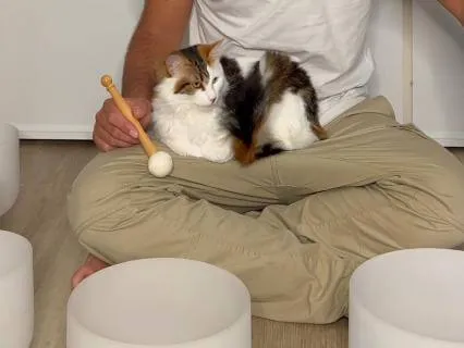 Deep Relaxation With Quartz Crystal Singing Bowls