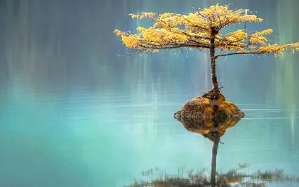 Deep Relaxing & Letting Go Of Stress Meditation