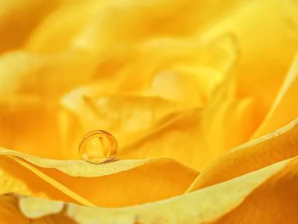 Deep Relaxing Flute Music | Meditation, Healing And Sleep