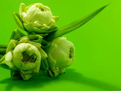 Deep Relaxing Meditation Music