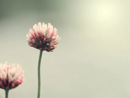 Deep, Relaxing Music For Inner Peace