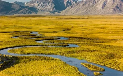 Deep Relaxing Sleep Music 