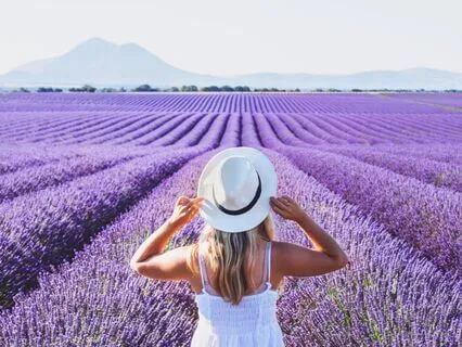 Deep Renewal: Delta Waves For Restorative Sleep