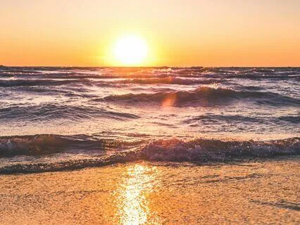 Deep Rest And Dreamland | Yoga Nidra