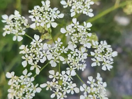 Deep Rest And Healing Meditation