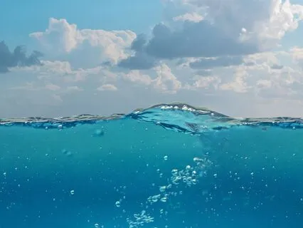 Deep Rest | Deep Sleep | Calming Sounds To Release The Day