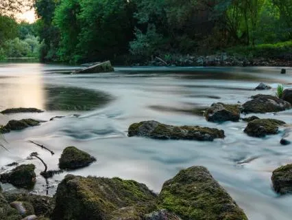 Deep Rest | Forest River & Singing Bowls