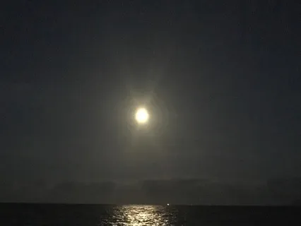 Deep Rest For Insomnia