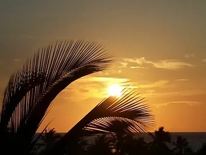 Deep Rest Meditation For Relaxation, Wholeness And Awakening