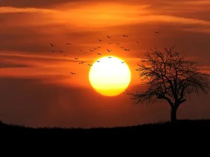 Deep Rest, Real Healing – Discover The Power Of Delta Waves