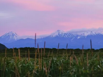 Deep Rest: Relax Your Heart And Mind