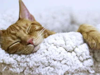 Deep Rest & Relaxation