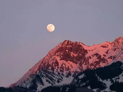 Deep Rest Reset +Recovery