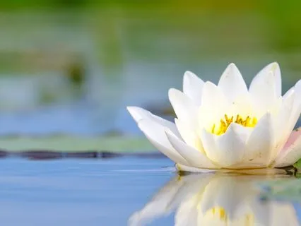 Deep Rest Simply Being 30min & Bring You Back