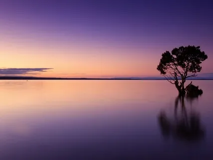 Deep Rest Yoga Nidra