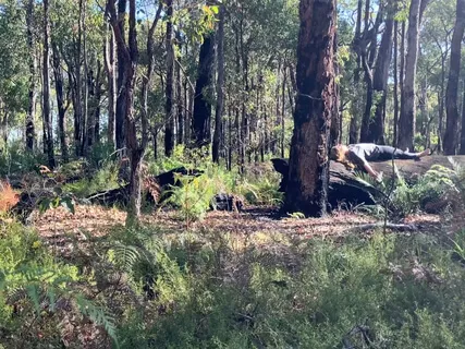 Deep Rest (Yoga Nidra)