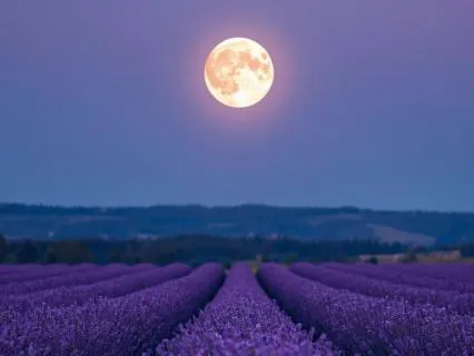 Deep Rest Yoga Nidra For Abundance