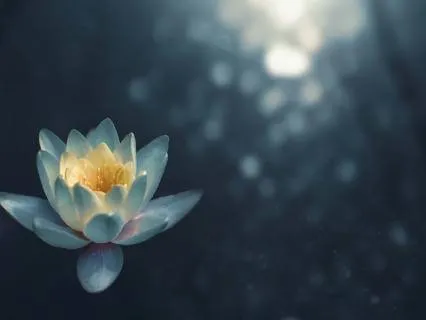 Deep Rest Yoga Nidra For Sleep & Healing