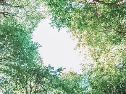 Deep Rest Yoga Nidra: Resting Into Awareness